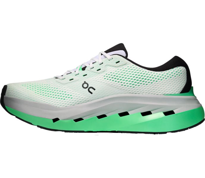 ON CLOUDRUNNER 3 MAX LÖPARSKOR Grön