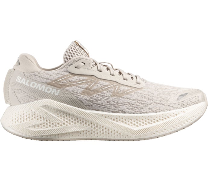 Salomon AERO GLIDE 4 LÖPARSKOR Beige