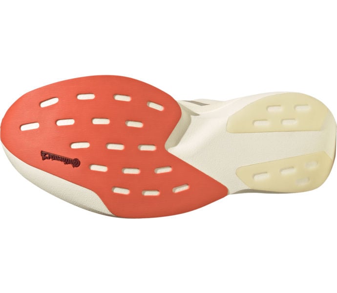 adidas ADIZERO EVO SL EXO W Flerfärgad