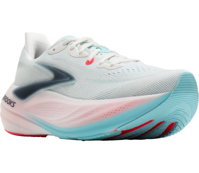 Brooks GLYCERIN MAX 3 LÖPARSKOR Flerfärgad