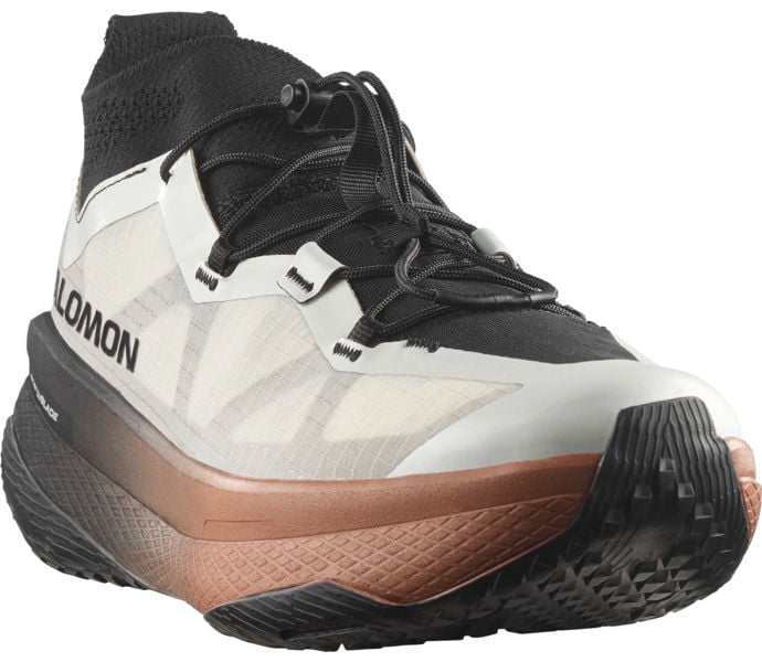 Salomon GRVL CONCEPT LÖPARSKOR Flerfärgad
